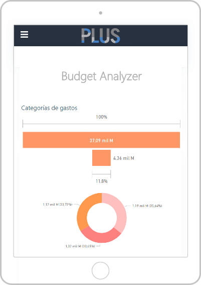 Budget Analyzer - Analisis de Gastos - Consultoria - Dashboards - Tableros Control